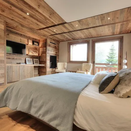 Chalet Ski Montagne Nature Chamonix