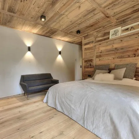 Daire Chalet Ski Montagne Nature